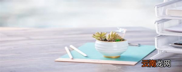 多肉植物多久浇一次水 多肉植物多长时间浇一次水