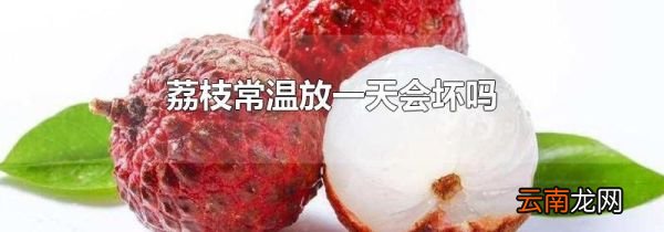 荔枝常温放一天会坏吗