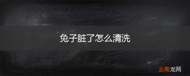 兔子脏了怎么清洗