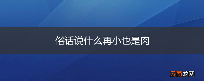 俗话说什么再小也是肉