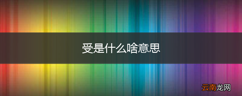 受是什么啥意思
