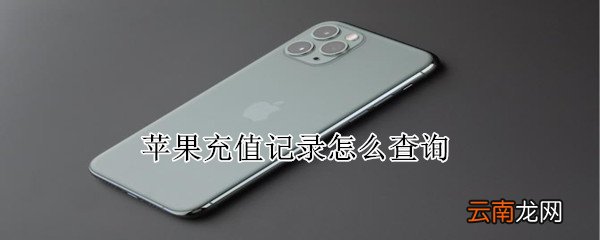 苹果充值记录怎么查询