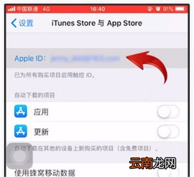 苹果充值记录怎么查询