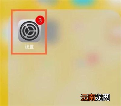 苹果充值记录怎么查询