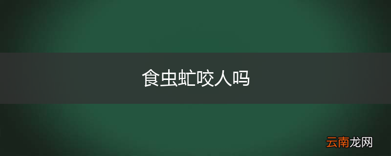 食虫虻咬人吗