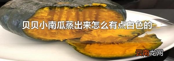 贝贝小南瓜蒸出来怎么有点白色的