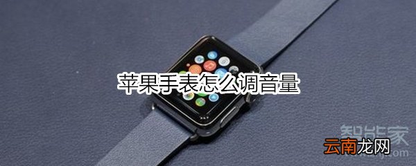 苹果手表怎么调音量
