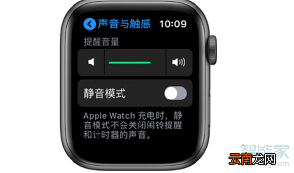 苹果手表怎么调音量