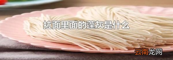 拉面里面的蓬灰是什么