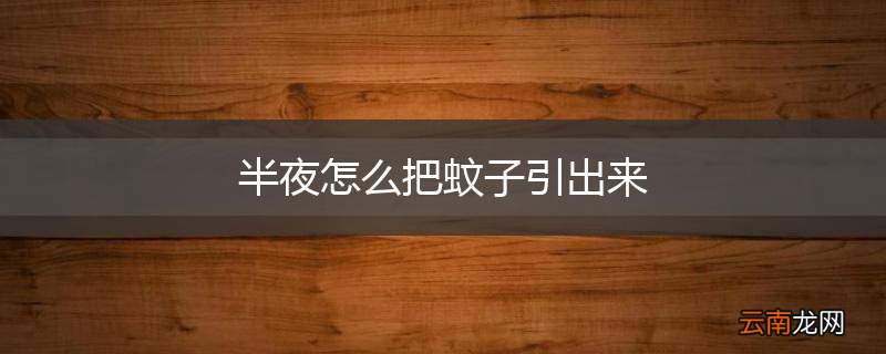 半夜怎么把蚊子引出来