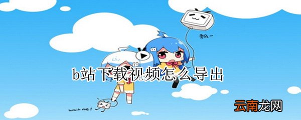 b站下载视频怎么导出