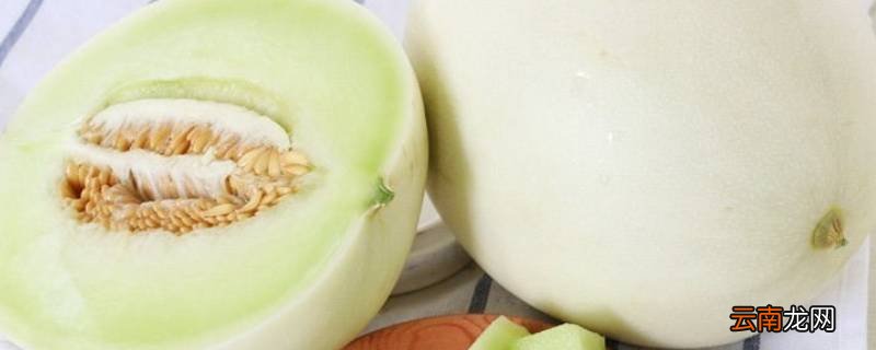 奶香蜜瓜是什么瓜