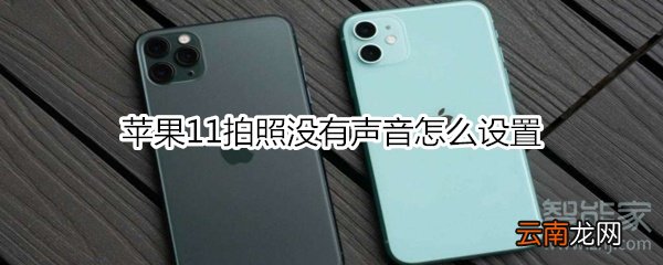 苹果11拍照没有声音怎么设置
