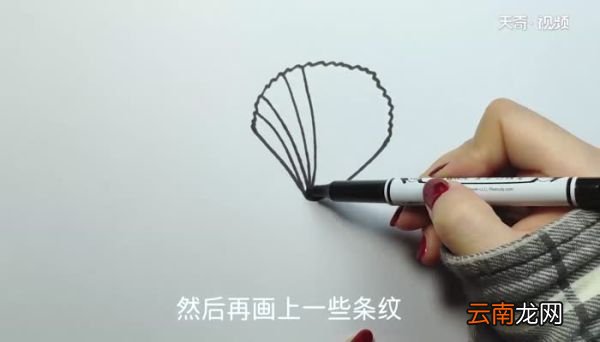 贝壳的画法