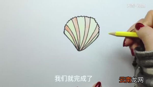 贝壳的画法