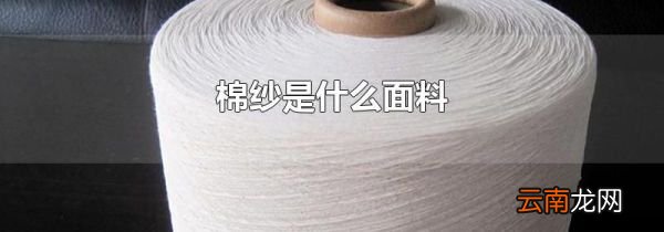 棉纱是什么面料