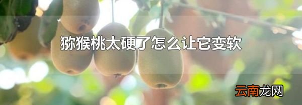 猕猴桃太硬了怎么让它变软