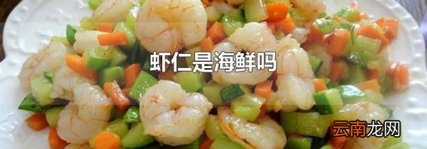 虾仁是海鲜吗