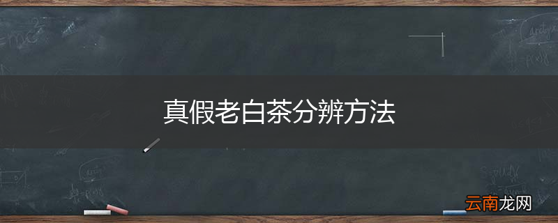 真假老白茶分辨方法