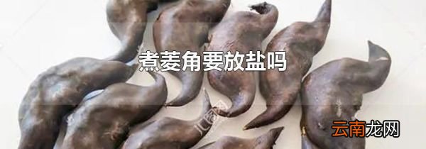 煮菱角要放盐吗