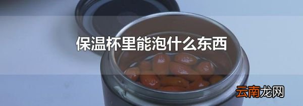 保温杯里能泡什么东西