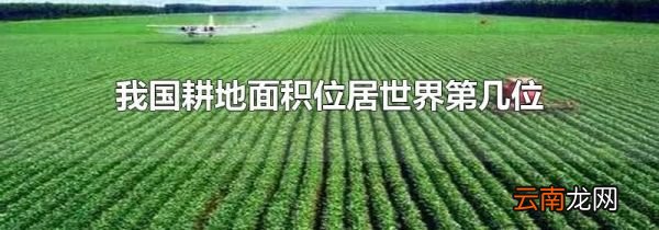 我国耕地面积位居世界第几位