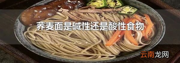 荞麦面是碱性还是酸性食物