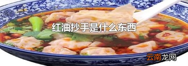 红油抄手是什么东西