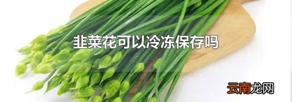 韭菜花可以冷冻保存吗