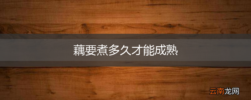 藕要煮多久才能成熟