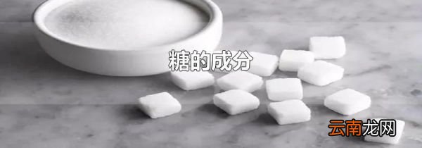 糖的成分