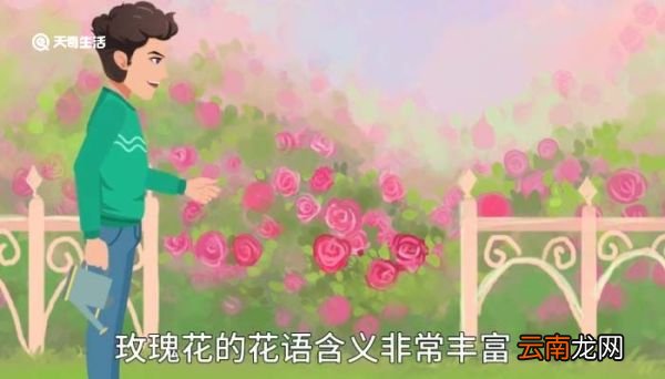 十一朵玫瑰代表什么意思 十朵玫瑰代表什么意思