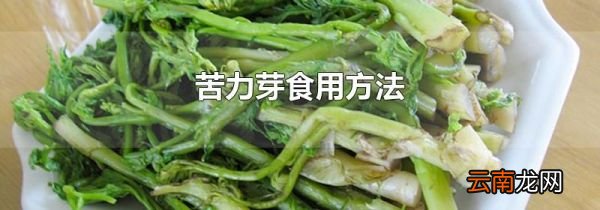 苦力芽食用方法