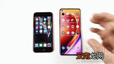 新iPhoneSE和一加8哪款值得买？iPhoneSE2和一加8性能对比