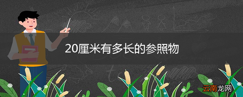 20厘米有多长的参照物