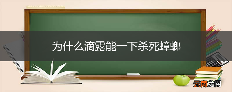 为什么滴露能一下杀死蟑螂