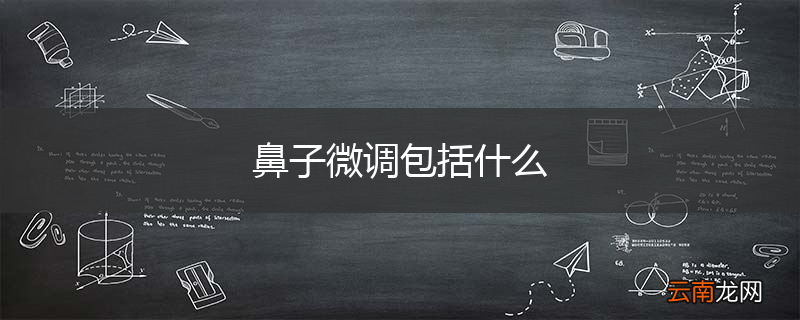 鼻子微调包括什么