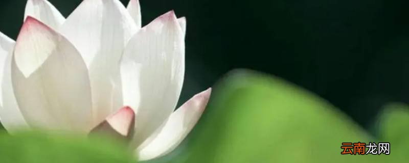 因果何曾饶过谁上一句是什么