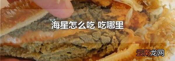 海星怎么吃 吃哪里