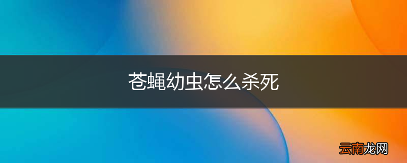 苍蝇幼虫怎么杀死
