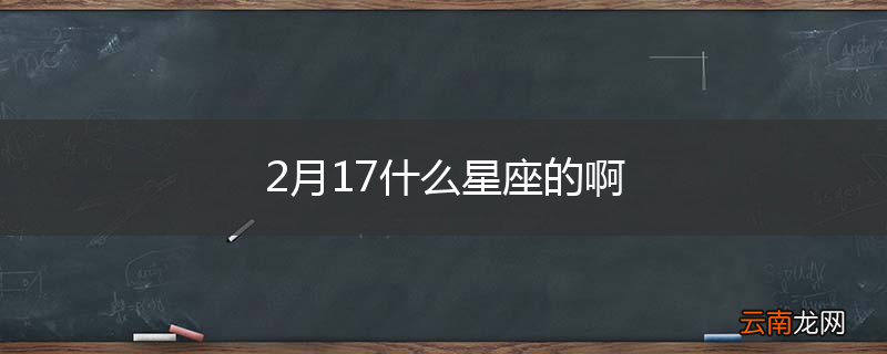 2月17什么星座的啊