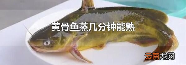 黄骨鱼蒸几分钟能熟