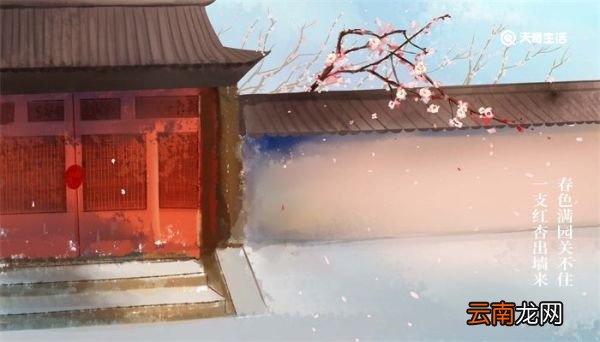 什么是诗歌 什么是诗