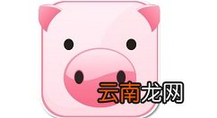 小懒猪app的注册步骤