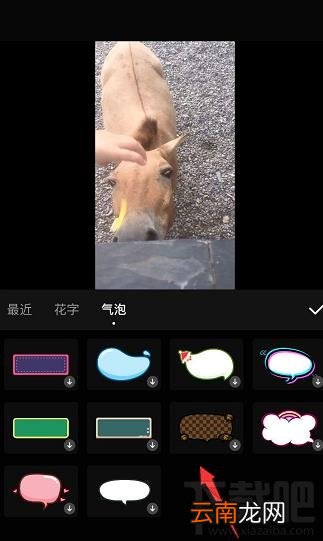 快影app视频如何添加文字贴纸？快影气泡文字的制作方法