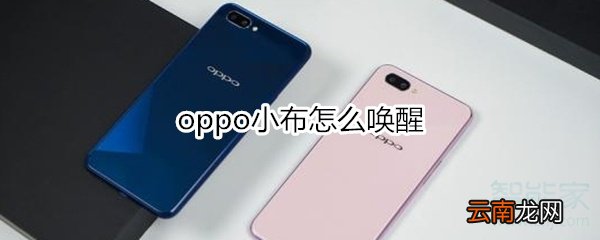 oppo小布怎么唤醒