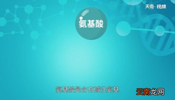 氨基酸是高分子化合物吗氨基酸属于高分子化合物吗