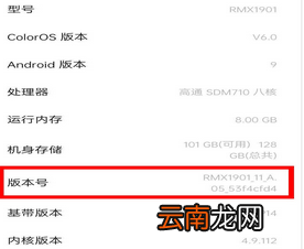 realme x打开开发者选项具体操作步骤