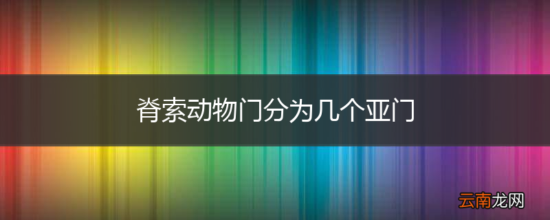 脊索动物门分为几个亚门