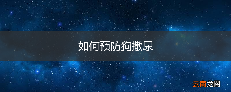 如何预防狗撒尿